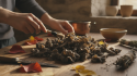 découvrez notre guide complet pour préserver la trompette de la mort avec des techniques et astuces essentielles garantissant fraîcheur et saveur.
